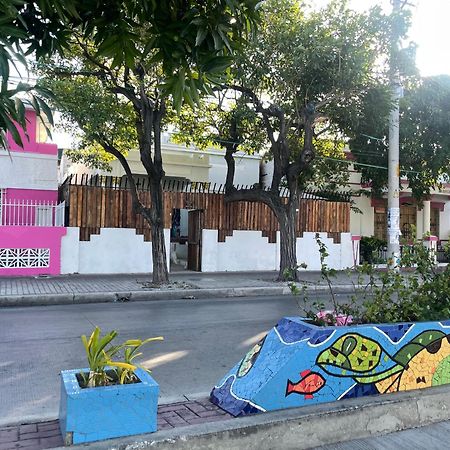 Historic House Hotel Centro Historico سانتا مارتا المظهر الخارجي الصورة